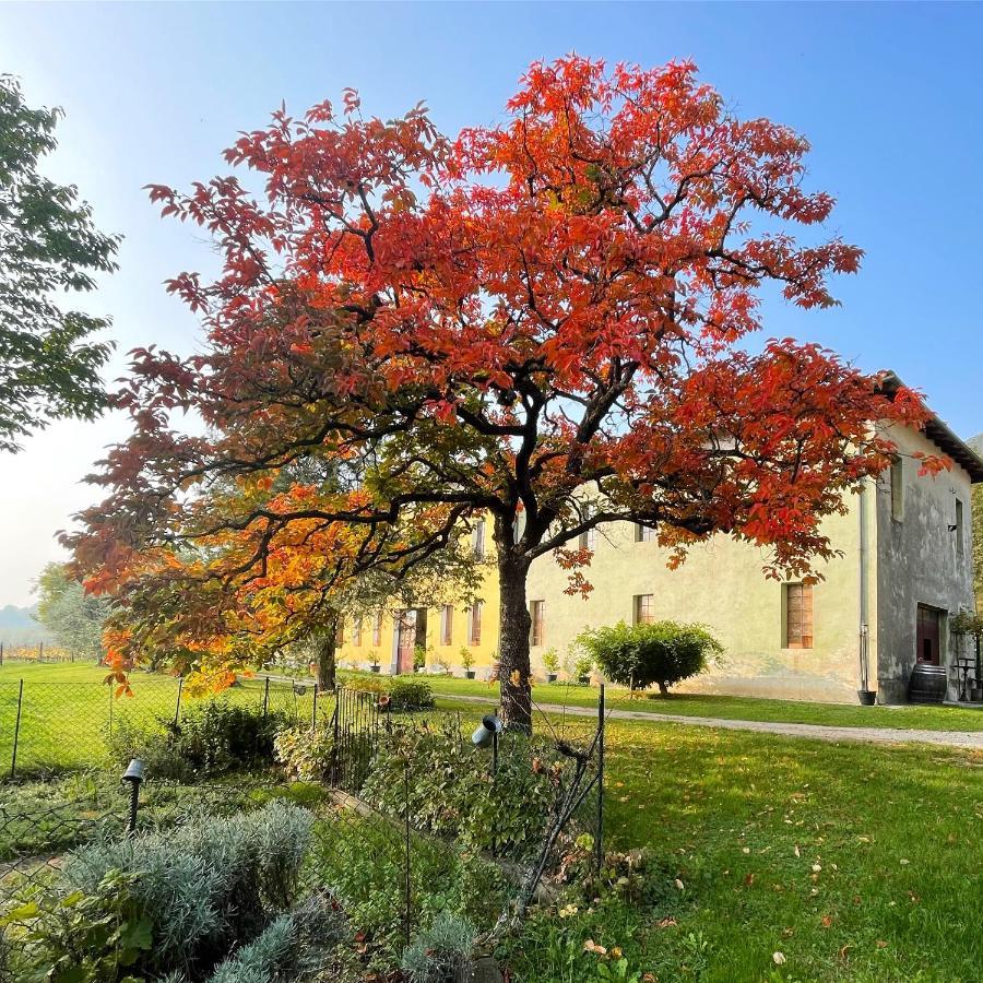 Castel San Mauro Hotel Gorizia Eksteriør billede